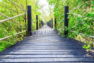 Papier peint  Pont en bois avec des cordes