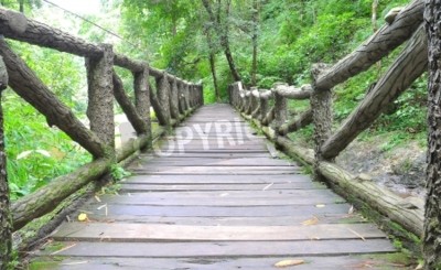 Papier peint  Pont en bois chemin de randonnée
