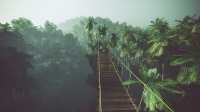 Papier peint  Pont en bois de la jungle