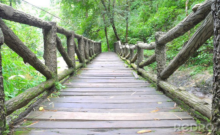 Papier peint  Pont en bois en pleine forêt