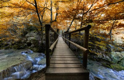Papier peint  Pont en bois forêt d'automne