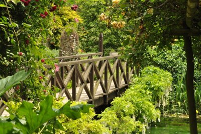Pont en bois jardin touffu