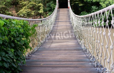 Papier peint  Pont et forêt