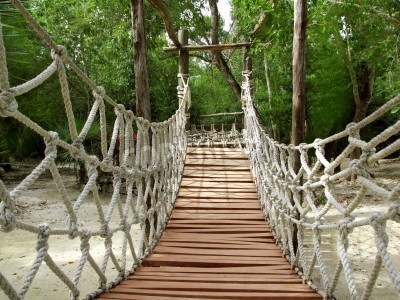 Papier peint  Pont forêt 3d