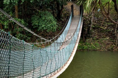 Papier peint  Pont forêt malaisienne