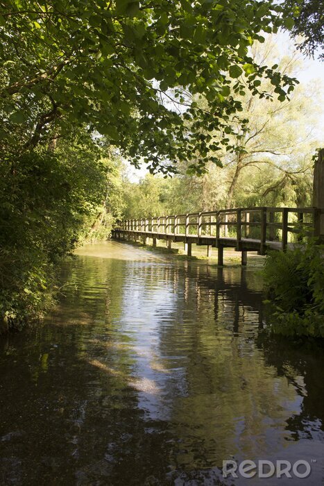 Papier peint  Pont lac dans la forêt