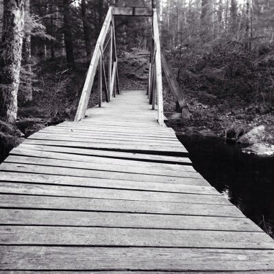 Papier peint  Pont noir et blanc forêt