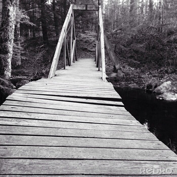 Papier peint  Pont noir et blanc forêt