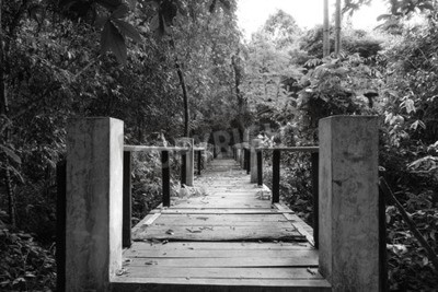 Papier peint  Pont noir et blanc jungle