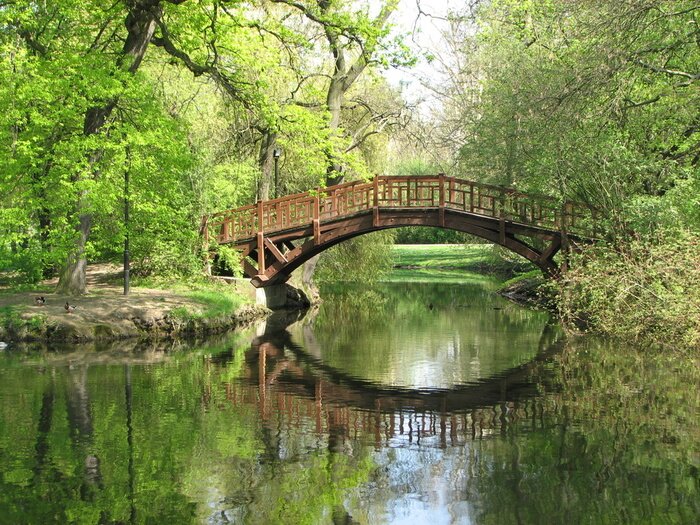 Papier peint  Pont ravissant au milieu des arbres