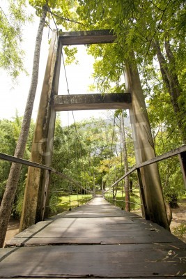 Papier peint  Pont rivière marécageuse