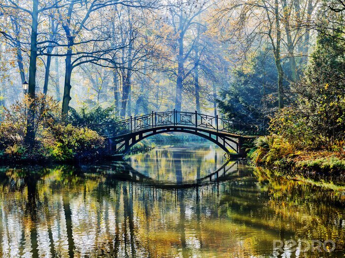 Papier peint  Pont romantique parc automne
