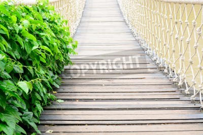 Papier peint  Pont suspendu clair et végétation