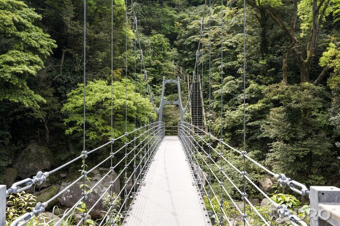 Papier peint  Pont suspendu en acier forêt dense