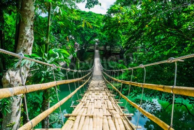 Papier peint  Pont suspendu forêt tropicale