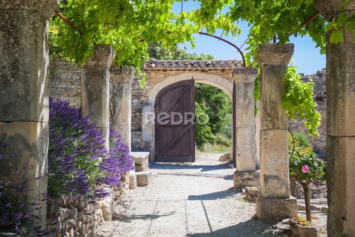 Papier peint  Porte avec vignes en Provence