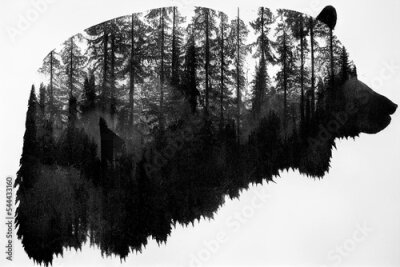 Papier peint  Portrait abstrait d&#39;un ours avec une forêt en noir et blanc