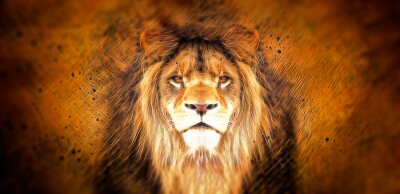 Papier peint  Portrait abstrait d'un lion africain