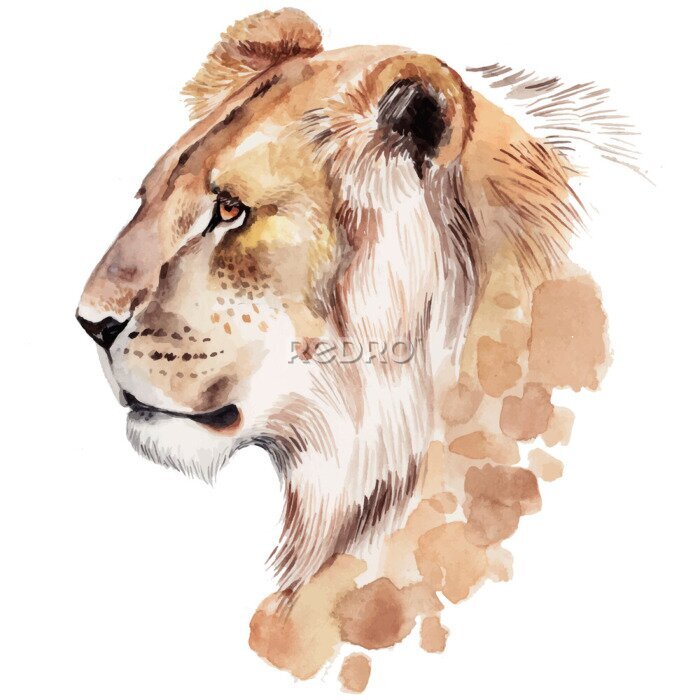 Papier peint  Portrait d'un lion peint à l'aquarelle sur un fond blanc