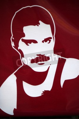 Papier peint  Portrait de Freddie Mercury