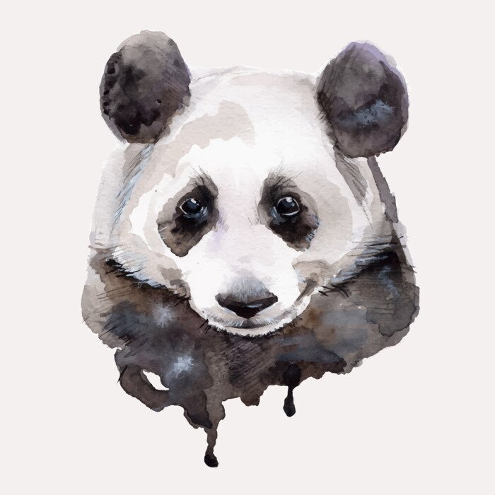 Papier peint  Portrait de panda aquarelle