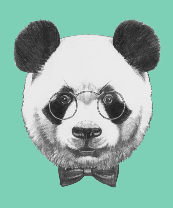 Papier peint  Portrait panda hipster
