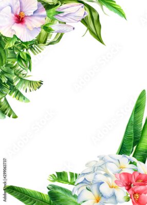 Papier peint  postcard tropical leaves and flowers on a white background, Strelitzia palm leaves, hibiscus