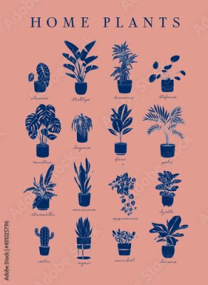 Papier peint  Poster home plants in linear style alocasia, strelitzia, dracaena, stefania, monster, begonia, ficus, palm, stromanthe, epipremnum, lyrata, cactus, agave, succulent, banana on coral background