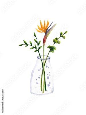 Papier peint  Poster with watercolor bouquet with Strelitzia flower in glass vase. Illustration isolated on white. Hand drawn composition perfect for postcard, interior design, wallpaper, fabric textile