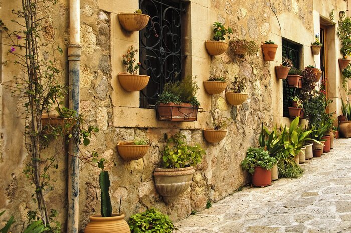 Papier peint  Pots de fleurs suspendus aux murs