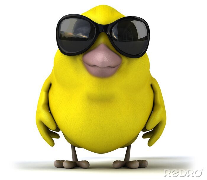 Papier peint  Poussin jaune avec des lunettes noires