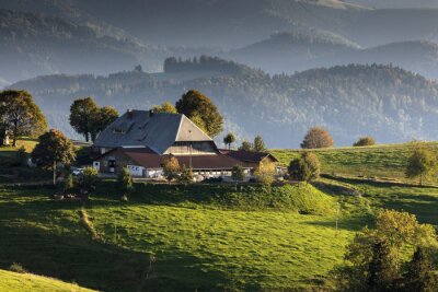 Papier peint  Prairie à la ferme