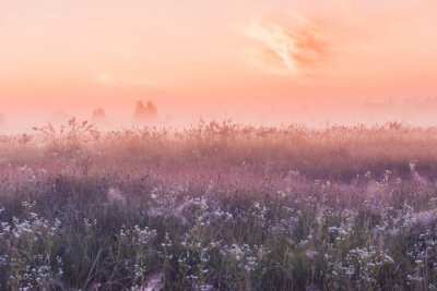 Papier peint  Prairie avec des fleurs sauvages et un lever de soleil rose