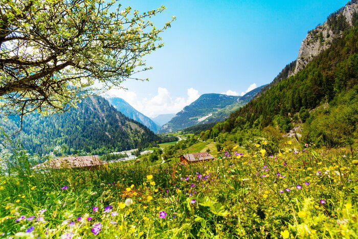 Papier peint  Prairie de montagne et vue