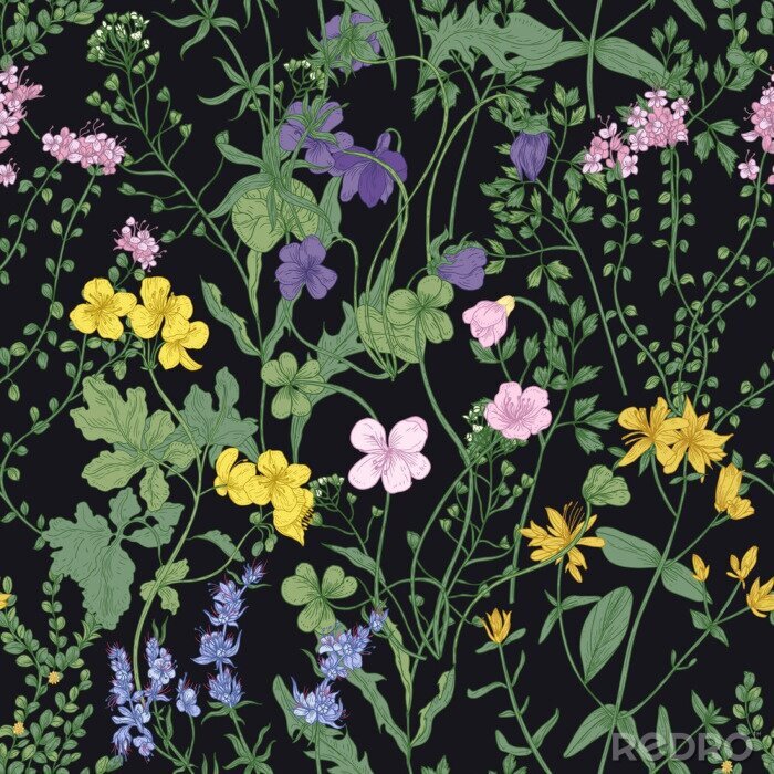 Papier peint  Prairie fleurie sur fond noir