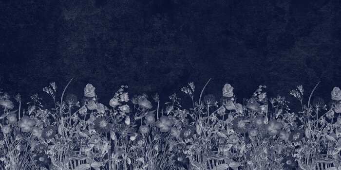 Papier peint  Prairie sur fond bleu marine