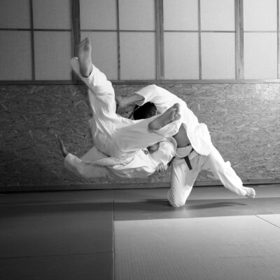 Papier peint  Présentation sportive judo