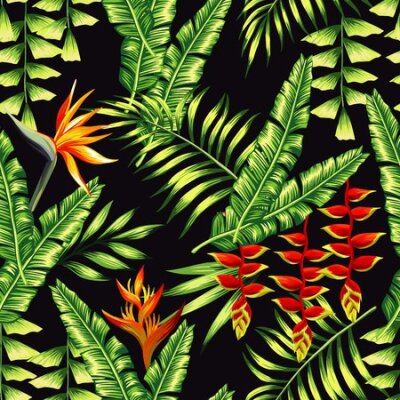 Papier peint  Print exotic tropic plants and palm trees, banana leaf with lobster claws flower, strelitzia on a black background. Seamless wallpaper pattern summer jungle art in trendy style of hand drawing