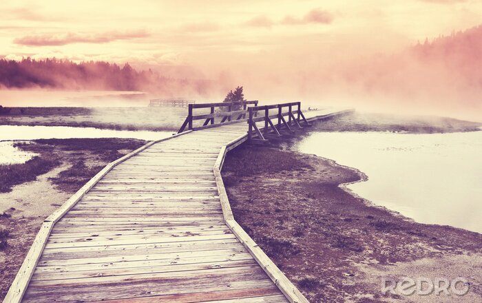 Papier peint  Promenade en bois et eaux fumantes