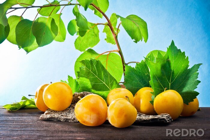 Papier peint  Prunes jaunes