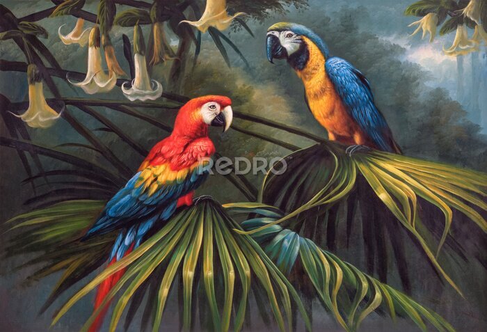 Papier peint  Psittaciformes assis sur une branche dans la jungle
