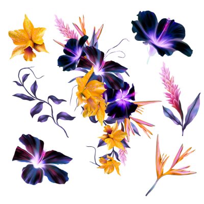 Papier peint  Purple Hibiscus, Yellow Orchids, Strelitzia, Tropical Flower Bouquet, Pink Flowers DIY Wedding Flowers