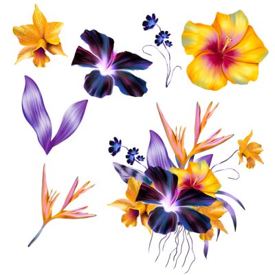 Papier peint  Purple Hibiscus, Yellow Orchids, Strelitzia, Tropical Flower Bouquet, Pink Flowers DIY Wedding Flowers