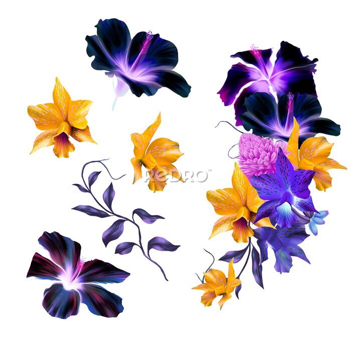 Papier peint  Purple Hibiscus, Yellow Orchids, Strelitzia, Tropical Flower Bouquet, Pink Flowers DIY Wedding Flowers