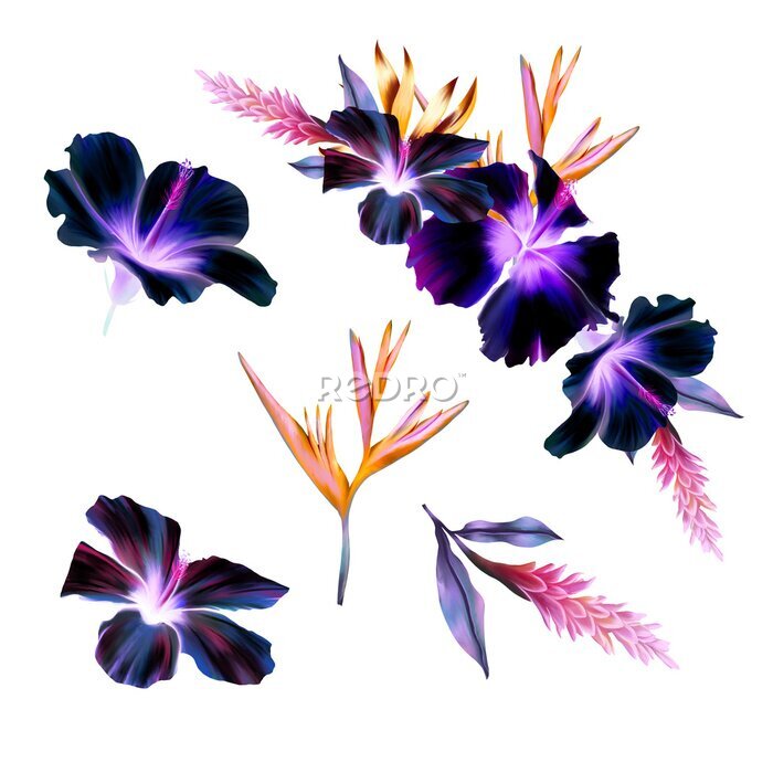 Papier peint  Purple Hibiscus, Yellow Orchids, Strelitzia, Tropical Flower Bouquet, Pink Flowers DIY Wedding Flowers