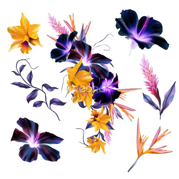 Papier peint  Purple Hibiscus, Yellow Orchids, Strelitzia, Tropical Flower Bouquet, Pink Flowers DIY Wedding Flowers
