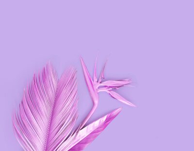 Papier peint  Purple metallic palm leave with golden strelitzia flower. Isolated on purple. 