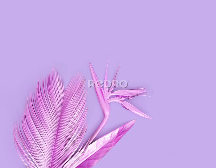 Papier peint  Purple metallic palm leave with golden strelitzia flower. Isolated on purple. 