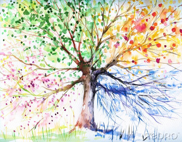 Papier peint  Quatre arbres de saison
