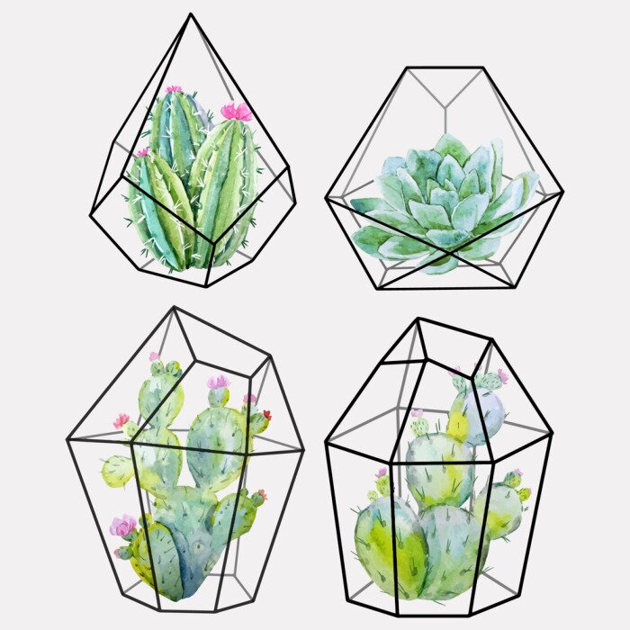 Papier peint  Quatre cactus